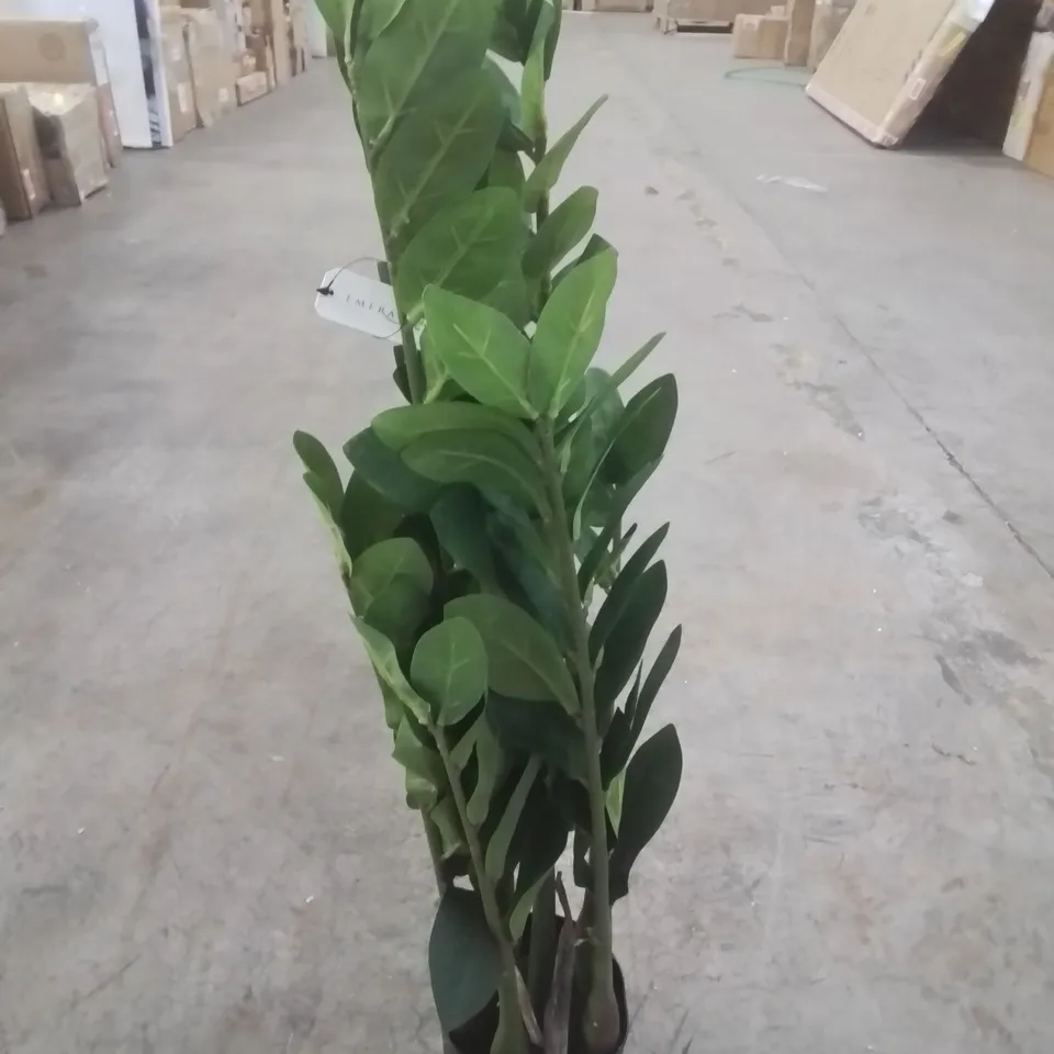 EMERALD 70CM ARTIFICIAL ZAMIOCULCAS