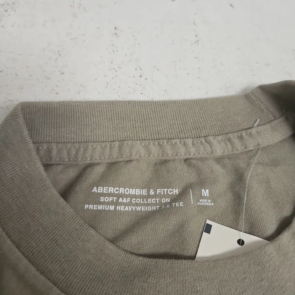 ABERCROMBIE & FITCH PREMIUM HEAVYWEIGHT 2.0 T-SHIRT, SIZE M, TAUPE