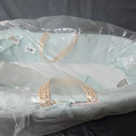 KINDER VALLEY DOWN IN THE WOODS MINT PALM MOSES BASKET