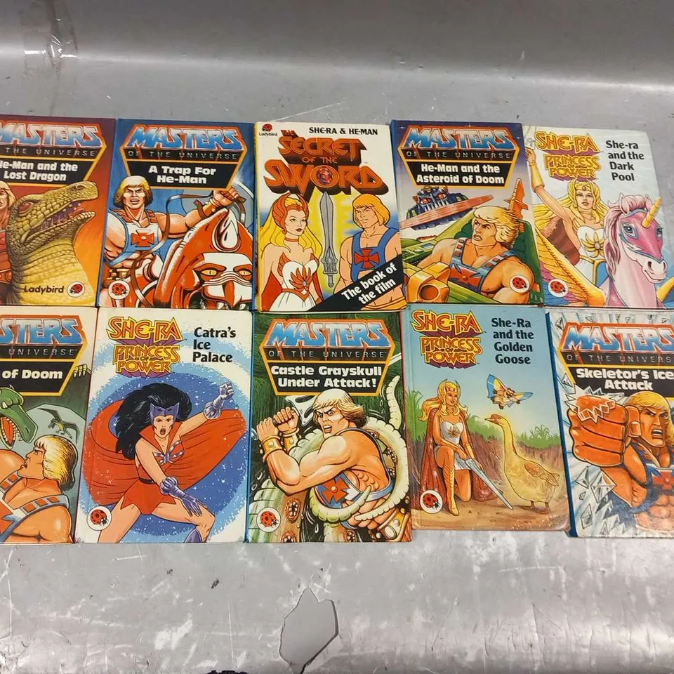 APPROXIMATELY 12 ASSORTED HE-MAN MASTERS OF THE UNIVERSE AND SHE-RA PRINCESS OF POWER LADYBIRD BOOKS