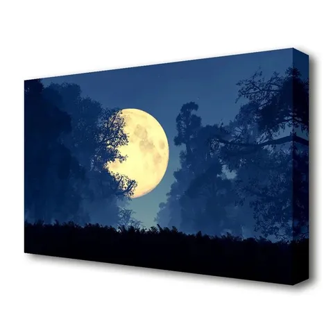 BOXED STUNNING MIDNIGHT MOON THROUGH THE TREES PICTURE