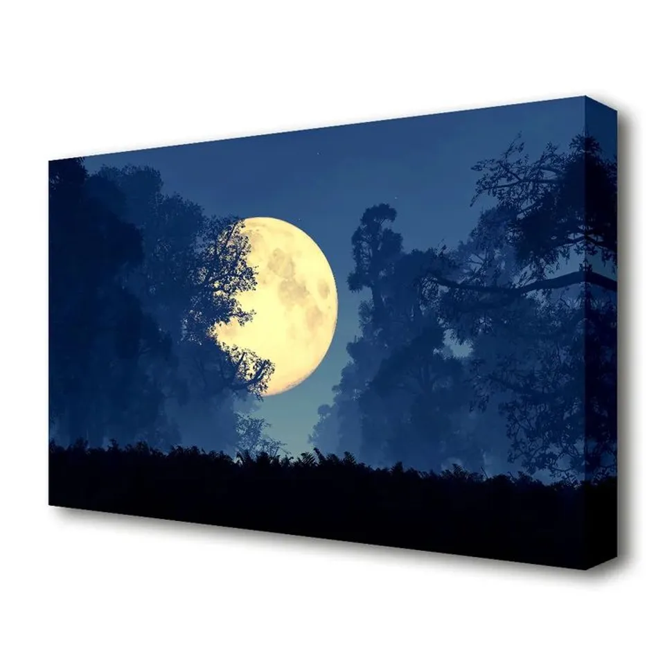 BOXED STUNNING MIDNIGHT MOON THROUGH THE TREES PICTURE