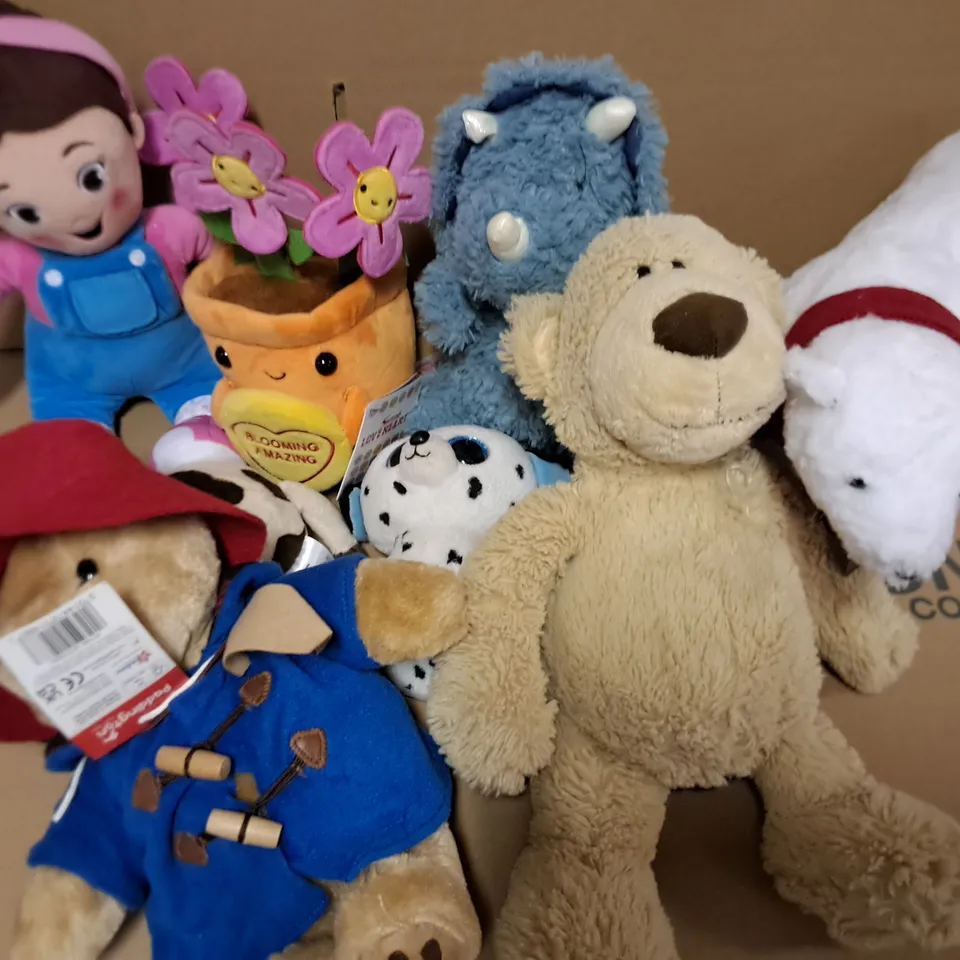LOT OF APPROXIMATELY 12 ASSORTED PLUSHIES TO INCLUDE PADDINGTON BEAR AND SWIZZLERS