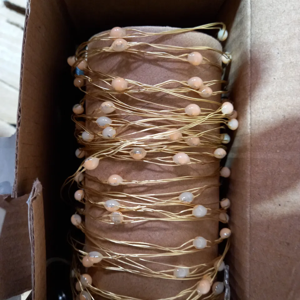 BOXED DESIGNER INDOOR/OUTDOOR WIRE LIGHT