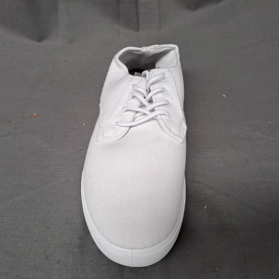 BOX OF APPROXIMATELY 5 PAIRS OF DESIGNER CANVAS SHOES IN WHITE IN VARIOUS SIZES
