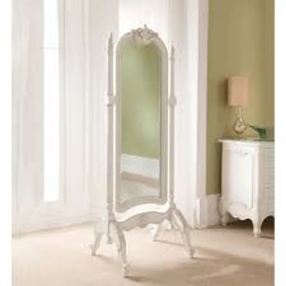 BRAND NEW BOXED HOMES DIRECT 365 ROCOCO ANTIQUE FRENCH STYLE CHEVAL MIRROR (2 BOXES)