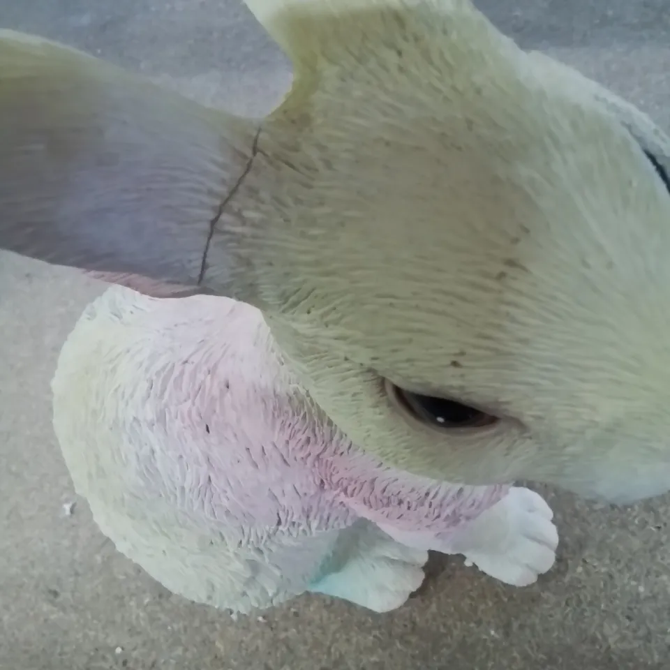 BOXED GARDEN RAINBOW BUNNY