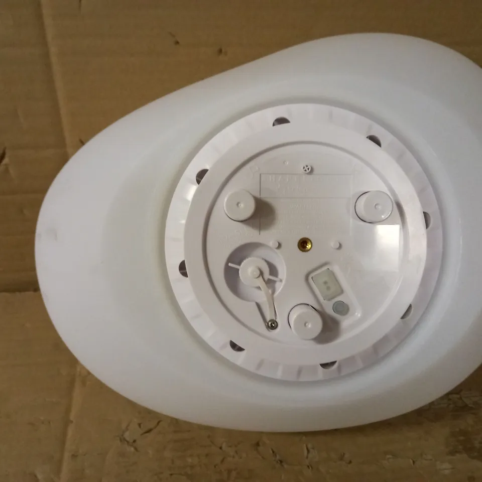 SHAPELIGHTS INDOOR & OUTDOOR USB CHARGABLE SOLAR PEBBLE LIGHT