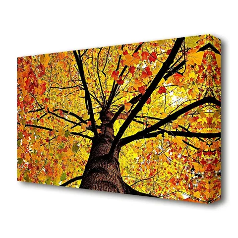 BOXED YELLOW AUTUMN TREE FOREST - WRAPPED CANVAS PRINT 