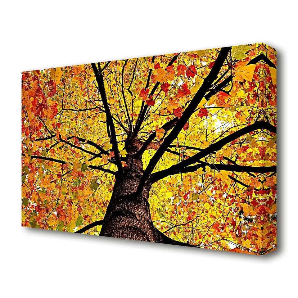 BOXED YELLOW AUTUMN TREE FOREST - WRAPPED CANVAS PRINT 