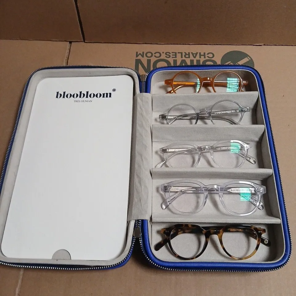 BLOOBLOOM GLASSES FRAME SET 