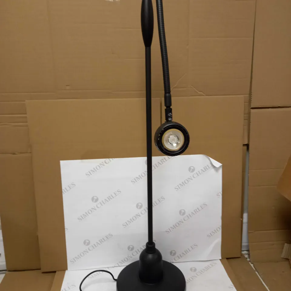 SERIOUS ALEX READERS LED BLACK FLOOR LAMP