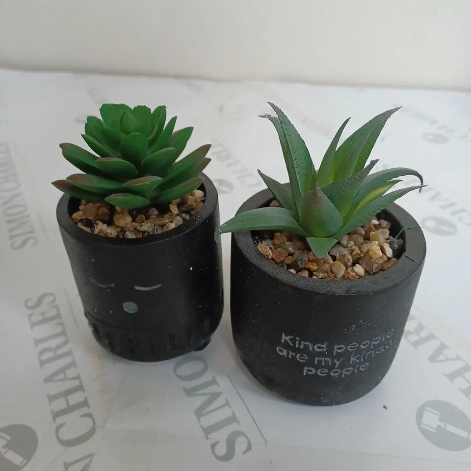 LARGE BOX OF 12 MATTE BLACK SLEEPY FACE AND MATTE BLACK KIND 