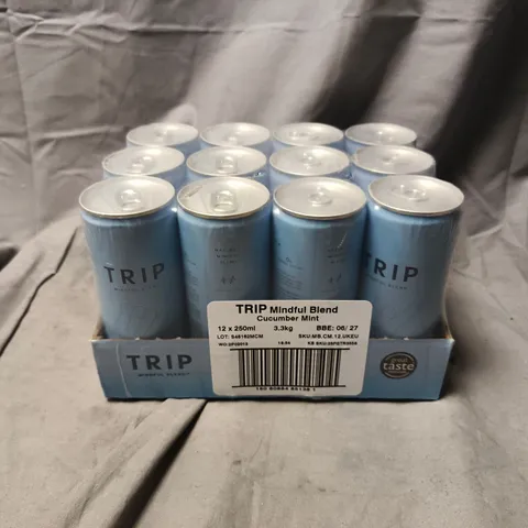 TRIP MINDFUL BLEND CUCUMBER MINT – 12 X 250ML CANS