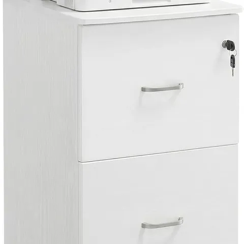 VASAGLE FILING CABINET WITH 2 DRAWERS