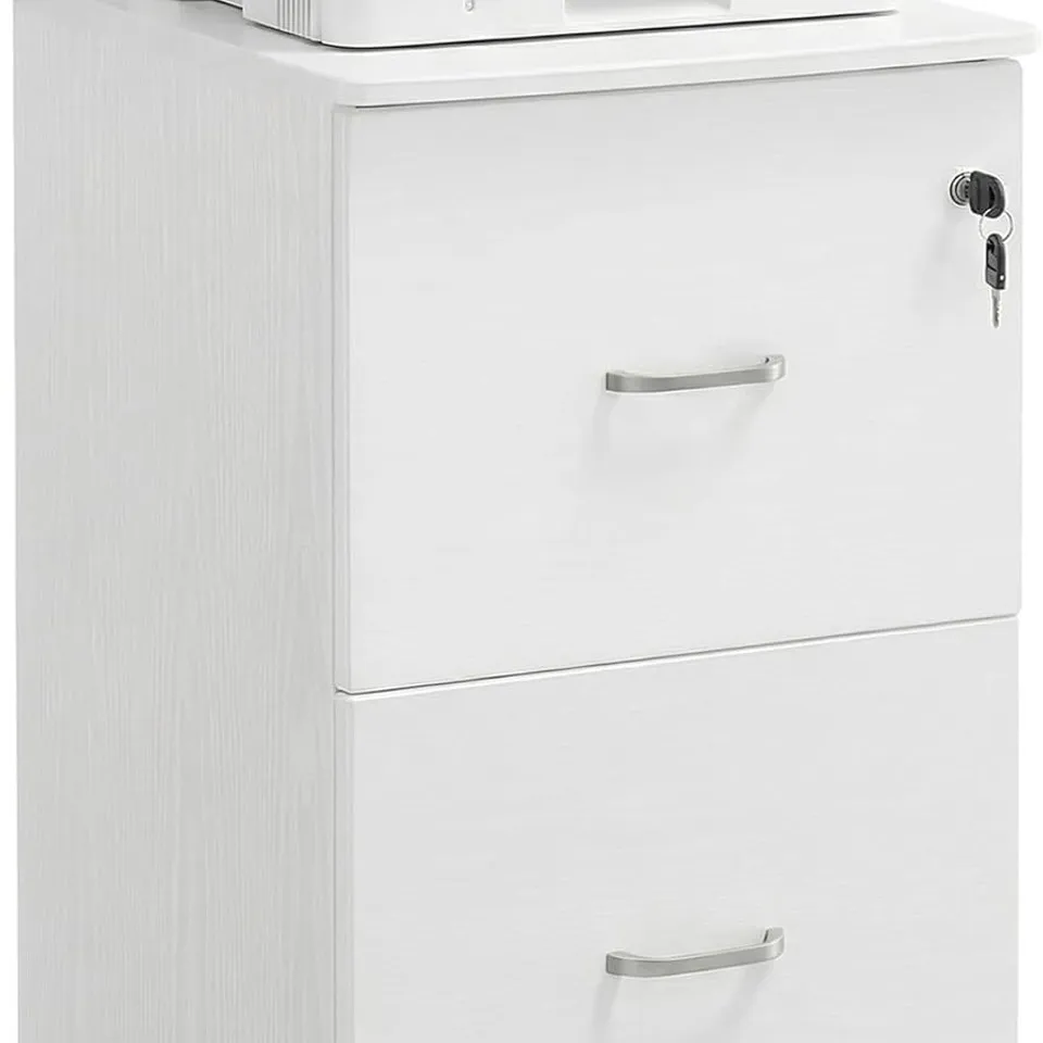 VASAGLE FILING CABINET WITH 2 DRAWERS