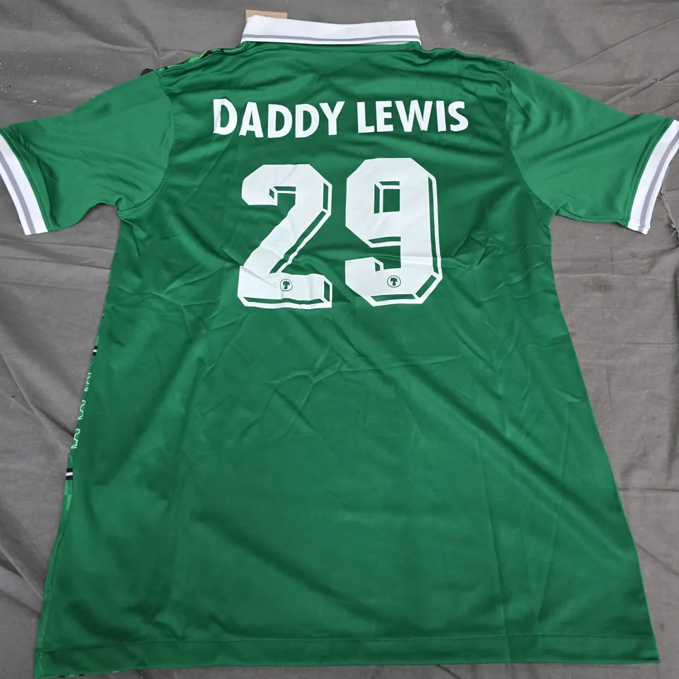 NIKE NIGERIA FOOTBALL FEDERATION JERSEY (DADDY LEWIS #29 – MEN'S XL – GREEN/WHITE WITH CREST