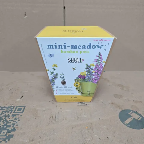 SEEDBALL BEE MIX MINI MEADOWS BAMBOO POTS SET