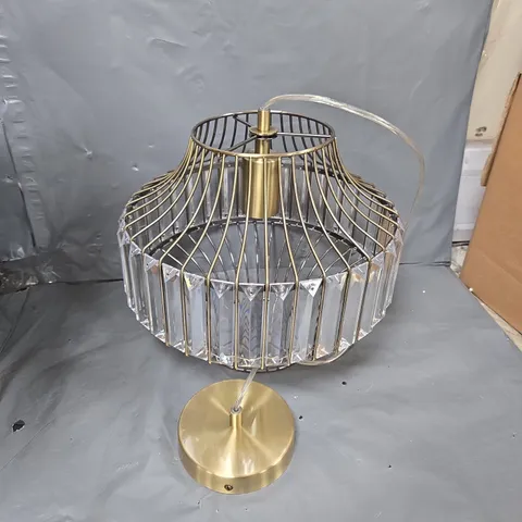 ALEXA CEILING PENDANT LIGHT FIXTURE
