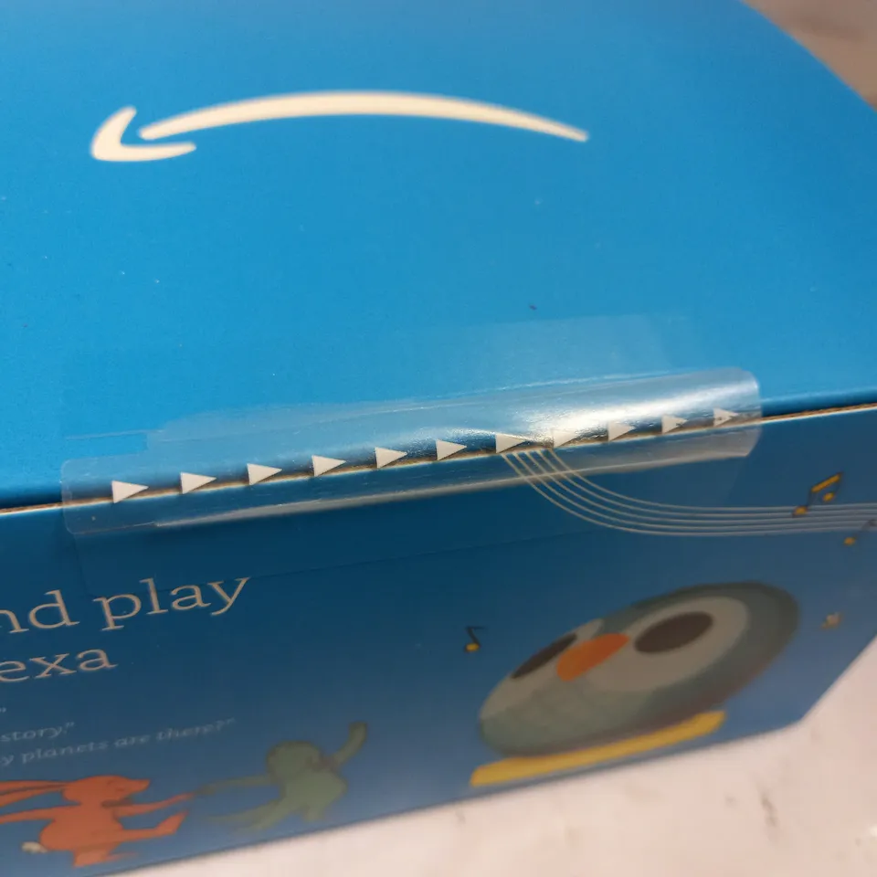 SEALED ECHO DOTS KIDS