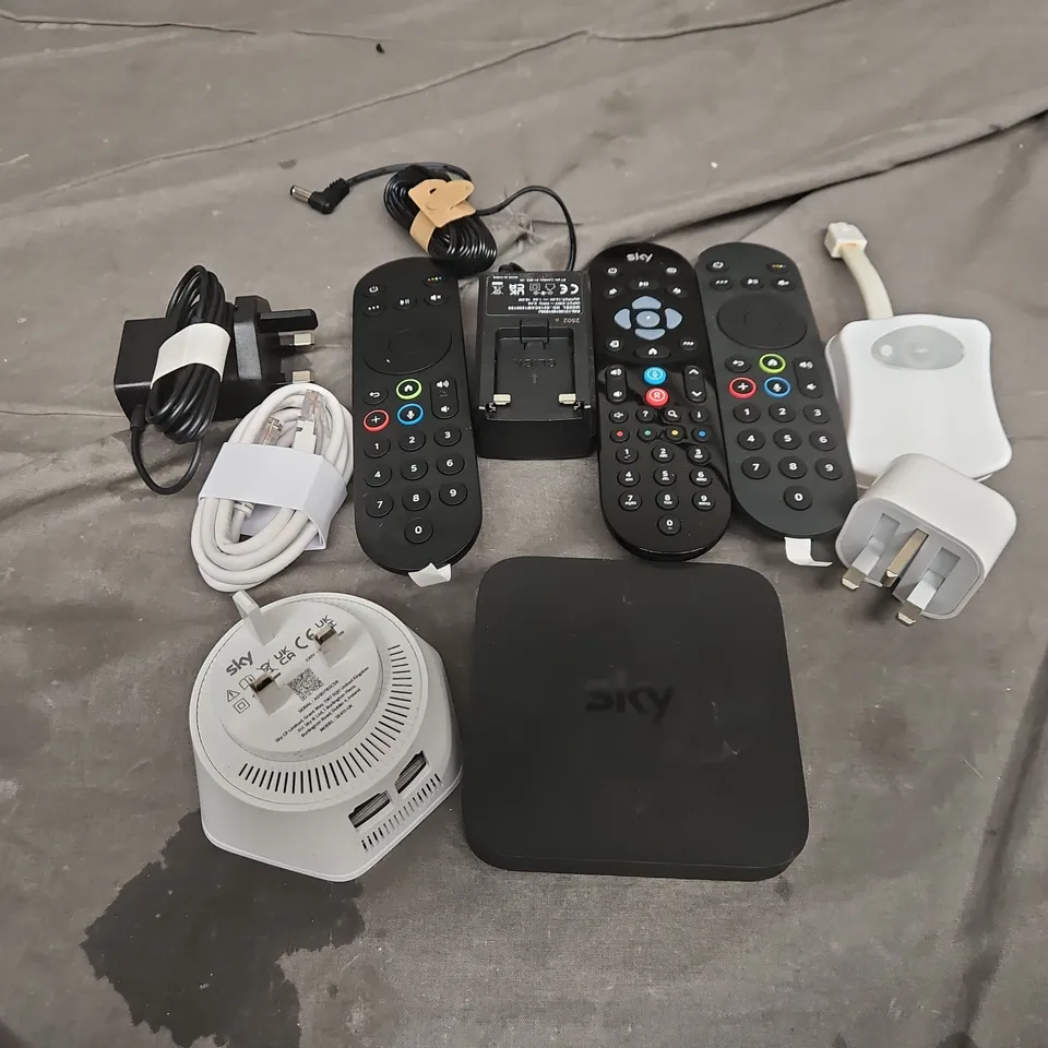 APPROXIMATELY 15 ASSORTED HOUSEHOLD ITEMS TO INCLUDE SKY REMOTES, PLUGS, CABLES, ETC