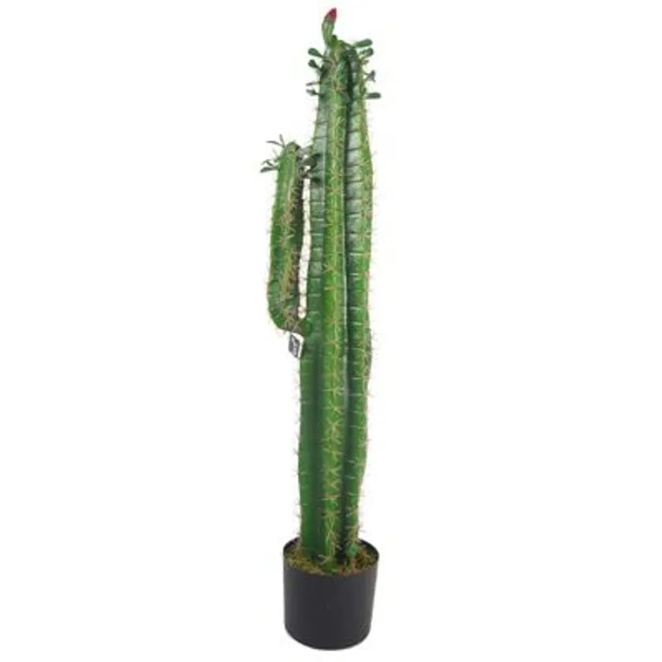 BOXED 100CM FAUX CACTUS PLANT IN POT LINER (1 BOX)
