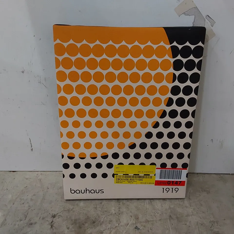 CANVAS PAINTING - CIRCLES ON CIRCLE (1 ITEM)