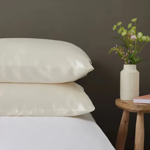 NORTHERN NIGHTS PACK OF 2 SILK PILLOWCASES