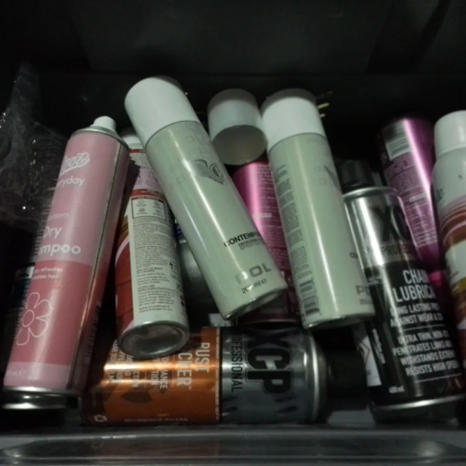 LOT OF 17 ASSORTED AEROSOLS TO INCLUDE CHAIN LUBRICANT, DRY SHAMPOO AND DEODORANTS / COLLECTION ONLY