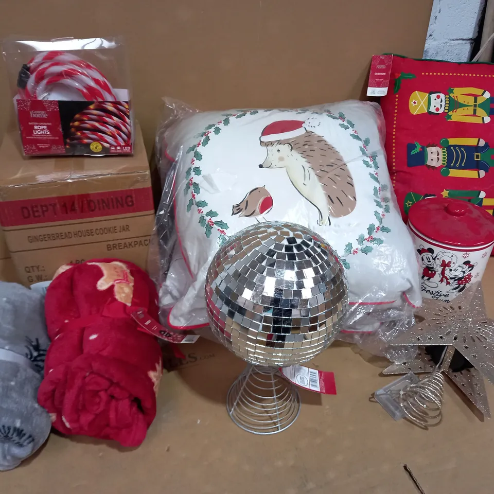 9 ASSORTED ITEMS TO INCLUDE: ROPE LIGHT, GINGERBREAD HOUSE COOKIE JAR, FESTIVE HEDGEHOG CUSHIONS ETC 