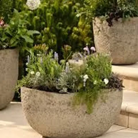BOXED CRANFORD PLANTER OVAL FICONSTONE