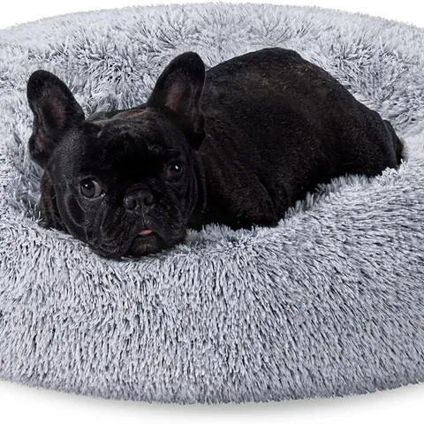 BOXED FEANDREA DOG BED