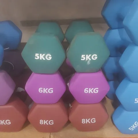 SET OF 6 KAYMAN DUMBBELLS - COLOURS VARY // 2 X 5KG, 6KG, 8KG