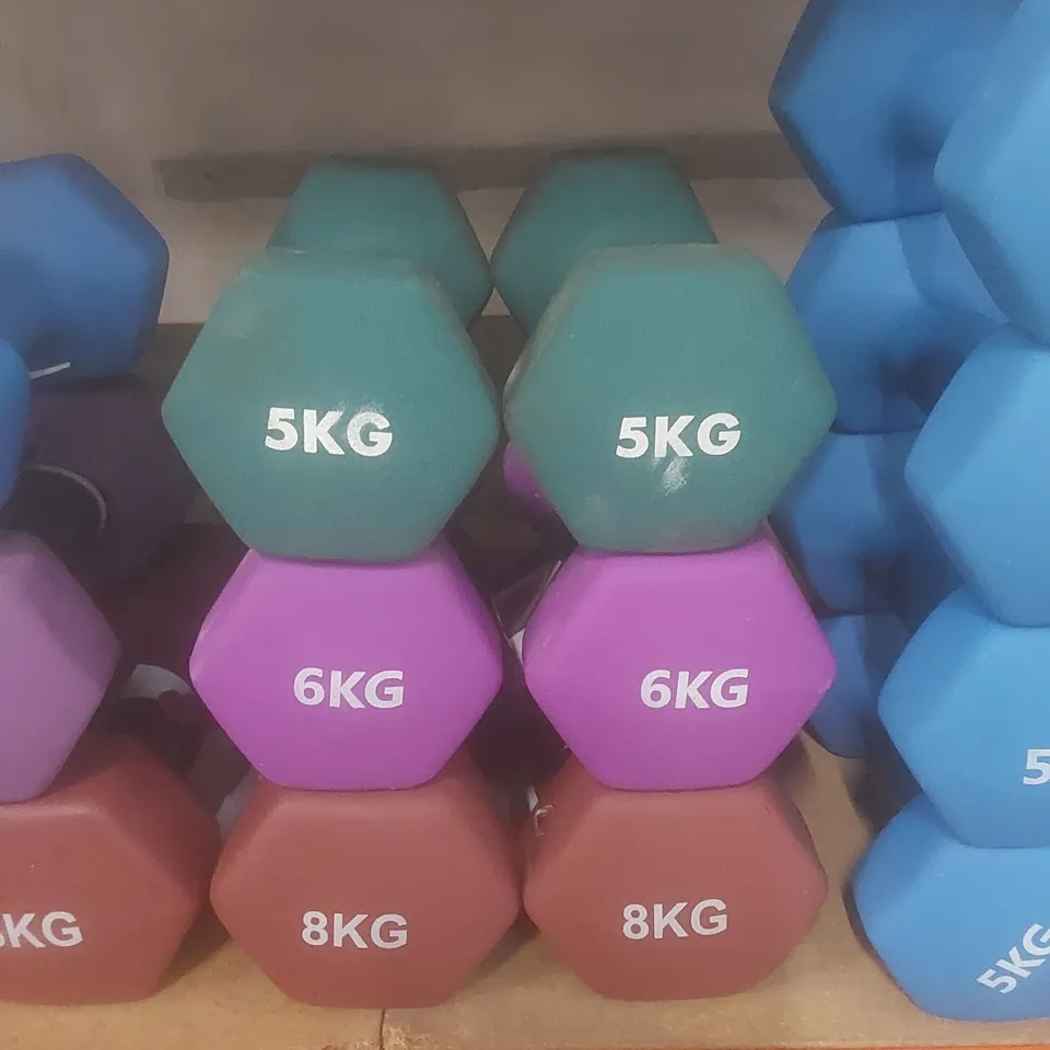 SET OF 6 KAYMAN DUMBBELLS - COLOURS VARY // 2 X 5KG, 6KG, 8KG