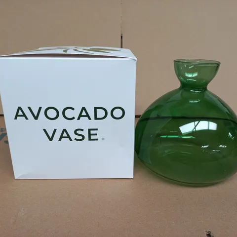 GREEN AVOCADO GLASS VASE