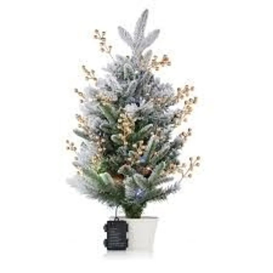 PRE LIT 60CM WINTERLUXE FIR TREE