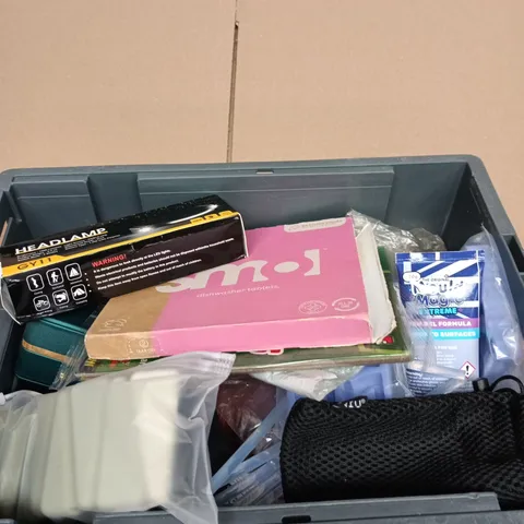BOX OF APPROXIMATELY 10 ASSORTED GOODS INCLUDING GY11 HEADLAMP, SMOL DISHWASHER TABLETS AND EDGE LEAF MOUSE AND RAT LURE TRAPS