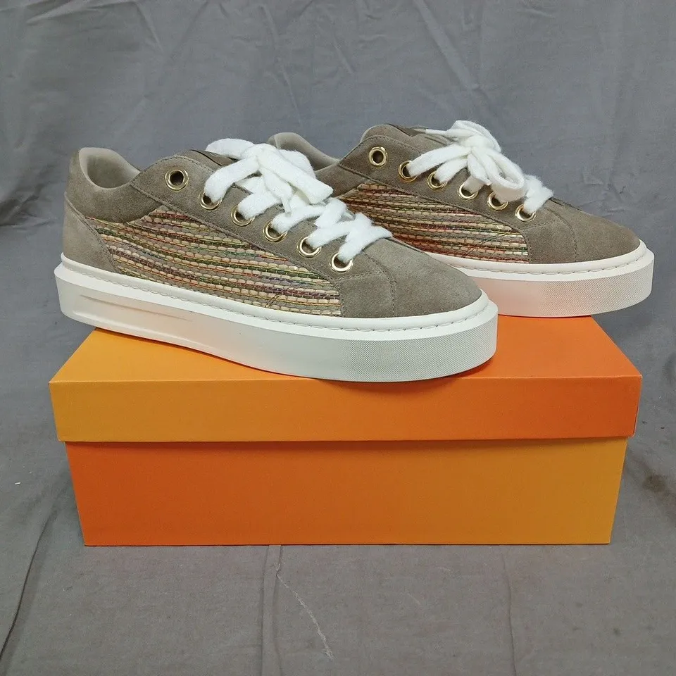 BOXED PAIR OF CLEENS ACE TRAINERS IN TAUPE SIZE UK 11.5