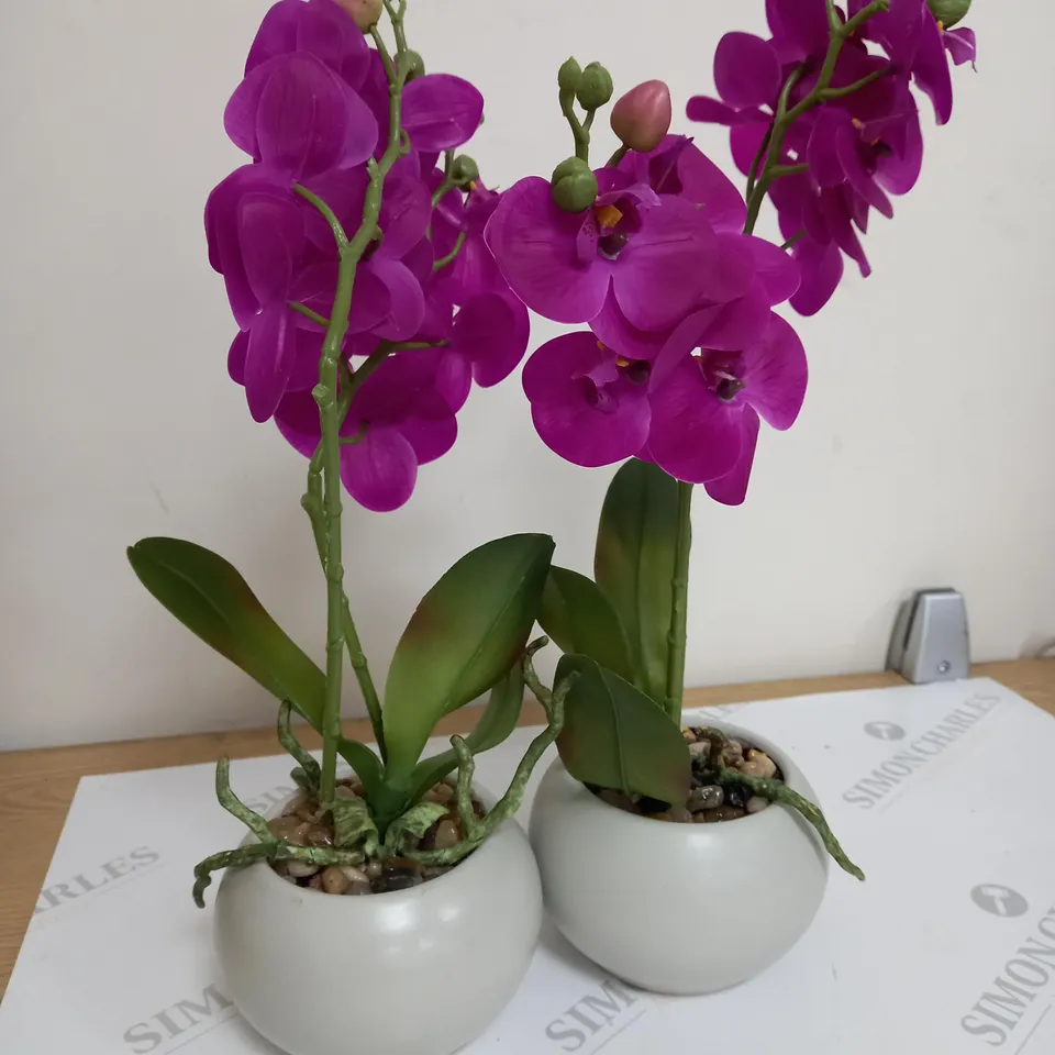 BOX OF 2 SYNTHETIC FLOWERS AND POT 
