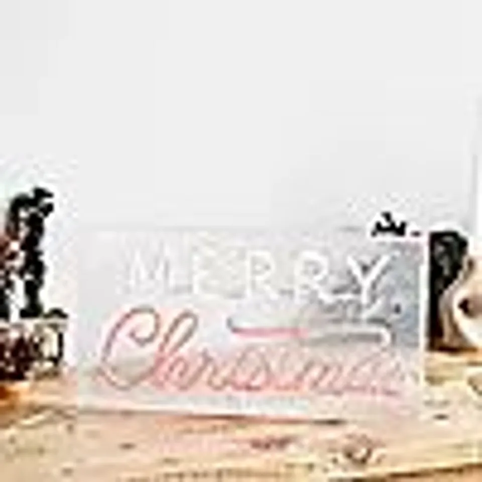 FESTIVE NEON FLEX LIGHTS