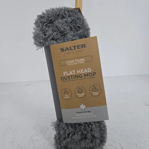 SALTER FLAT HEAD DUSTING MOP – COOL HUES COLLECTION