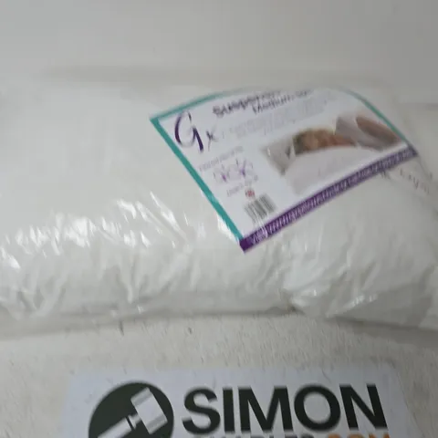 BAGGED SUSPENSION PILLOW