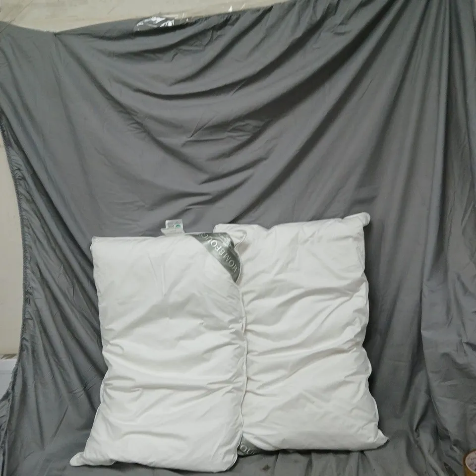 HOMEFOCUS DOWN & FEATHER PILLOWS – PAIR, WHITE