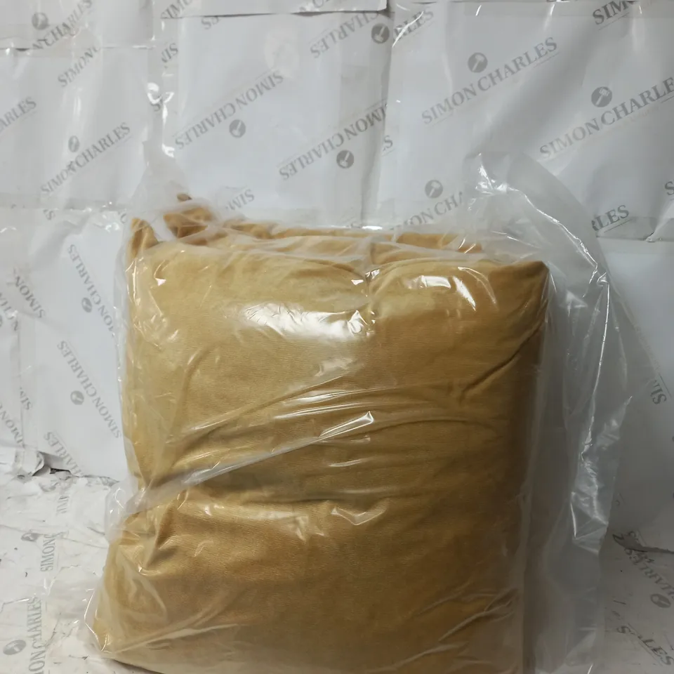 BAGGED LARGE VELOUR CUSHION