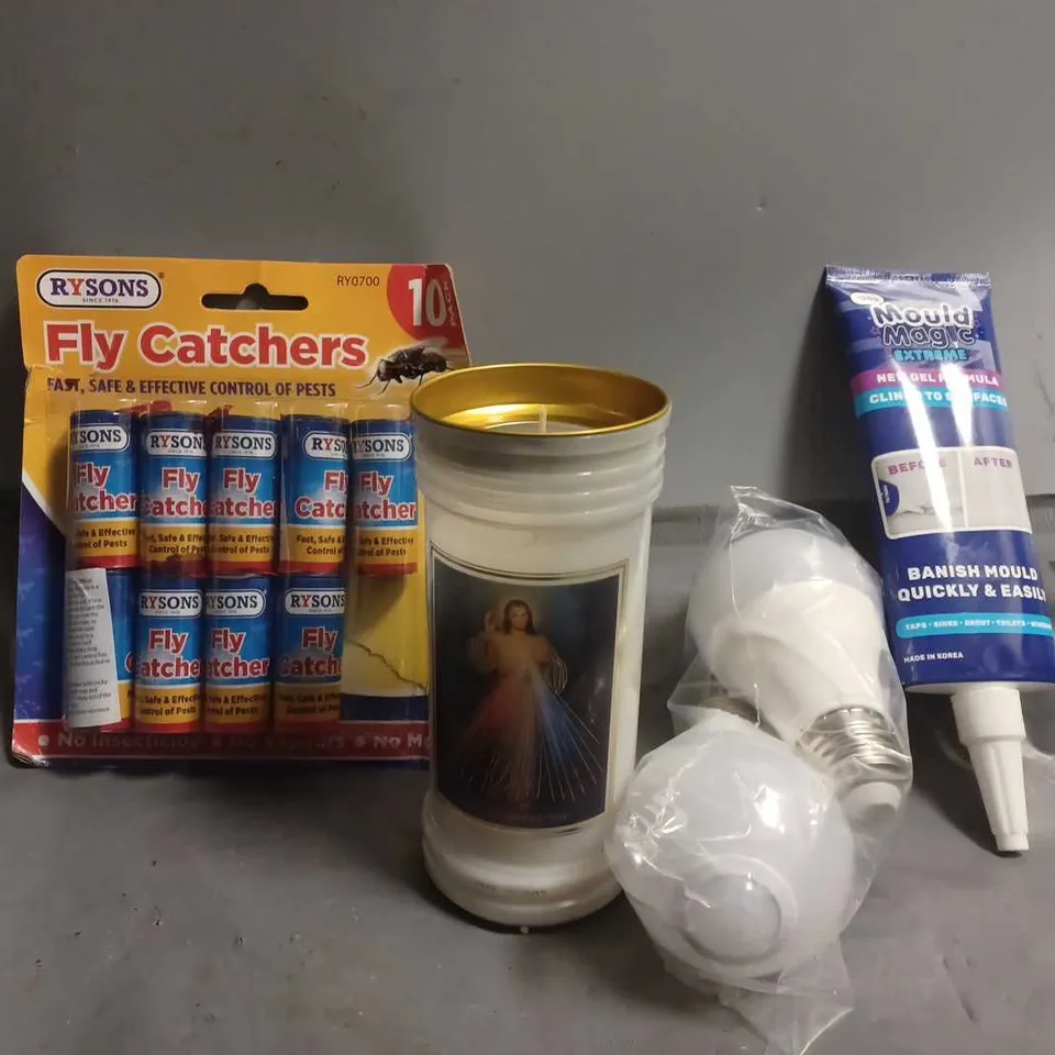 APPROXIMATELY 10 ASSORTED ITEMS TO INCLUDE - FLY CATCHER , MOULD MAGIC , LIGHTS ETC