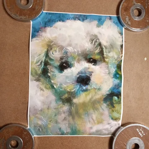 COLORFUL BICHON FRISE ART PRINT