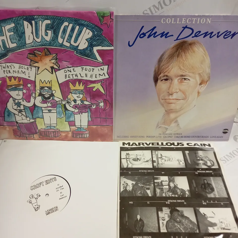 APPROXIMATELY 10 ASSORTED VINYLS FROM VARIOUS ARTISTS TO INCLUDE GERRY CINNAMON, JOHN DENVER, THE BUG CLUB ETC 