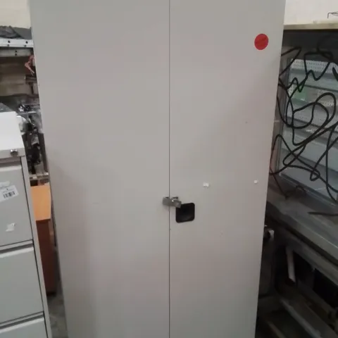 LARGE COMMERCIAL METAL CABINET