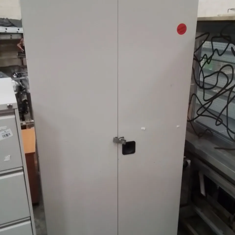 LARGE COMMERCIAL METAL CABINET