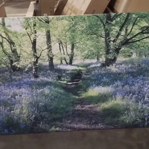 PATH THROUGH THE BLUEBELLS FOREST WRAPPED CANVAS PRINT 